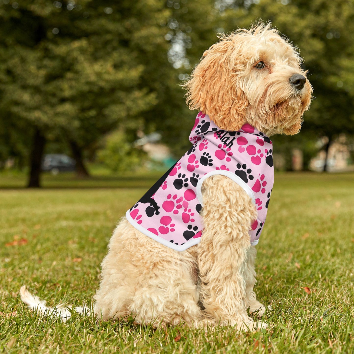 Love Like Nalah Pet Hoodie