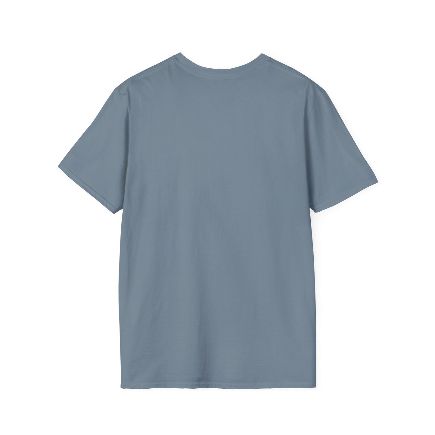 Normalize Sobriety, Awareness Unisex Softstyle T-Shirt