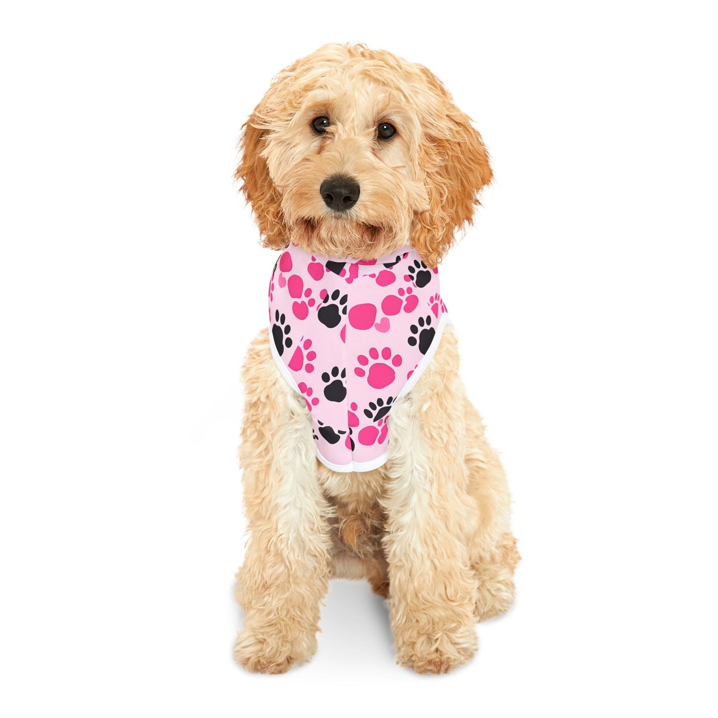 Love Like Nalah Pet Hoodie