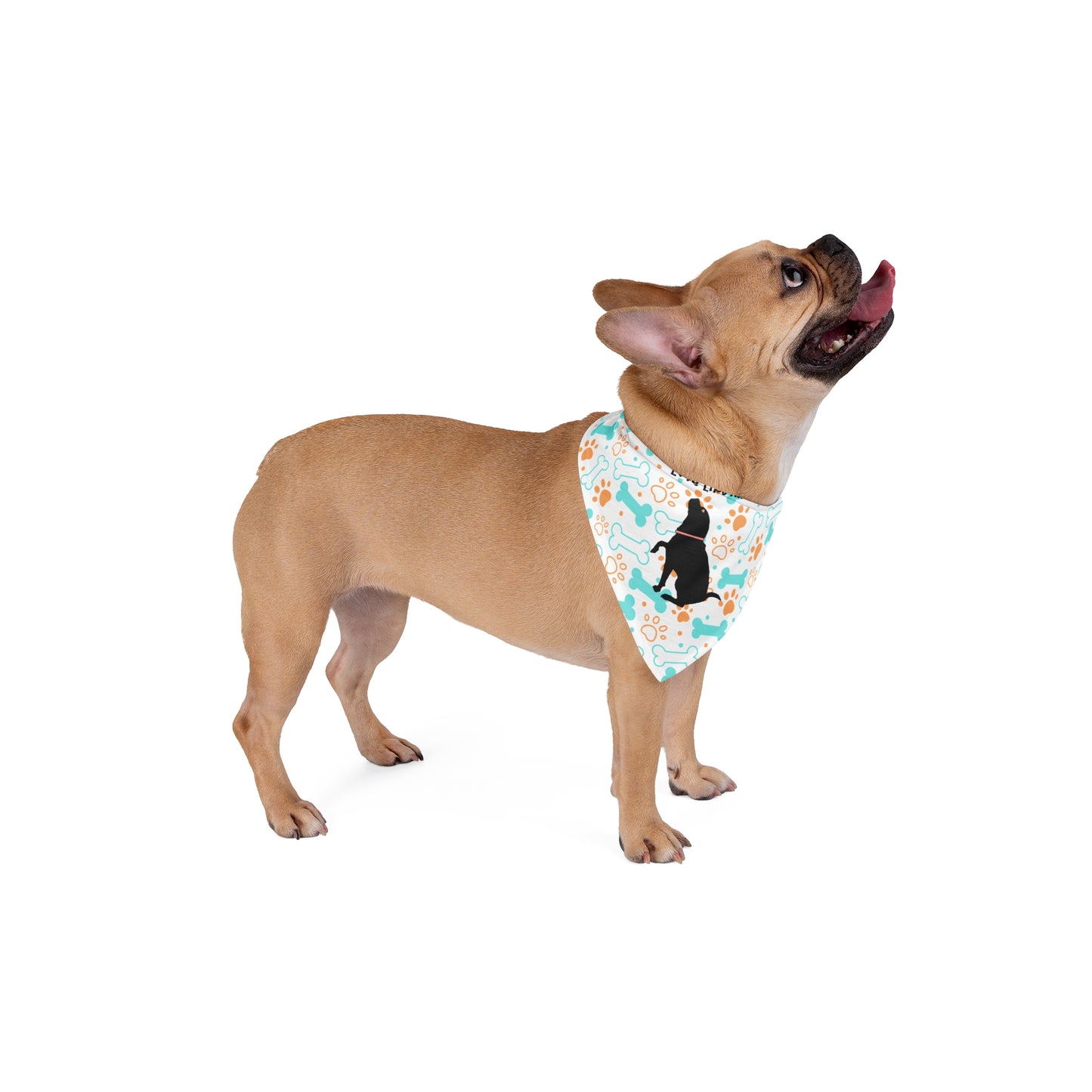 Paws, Bones Pet Bandana