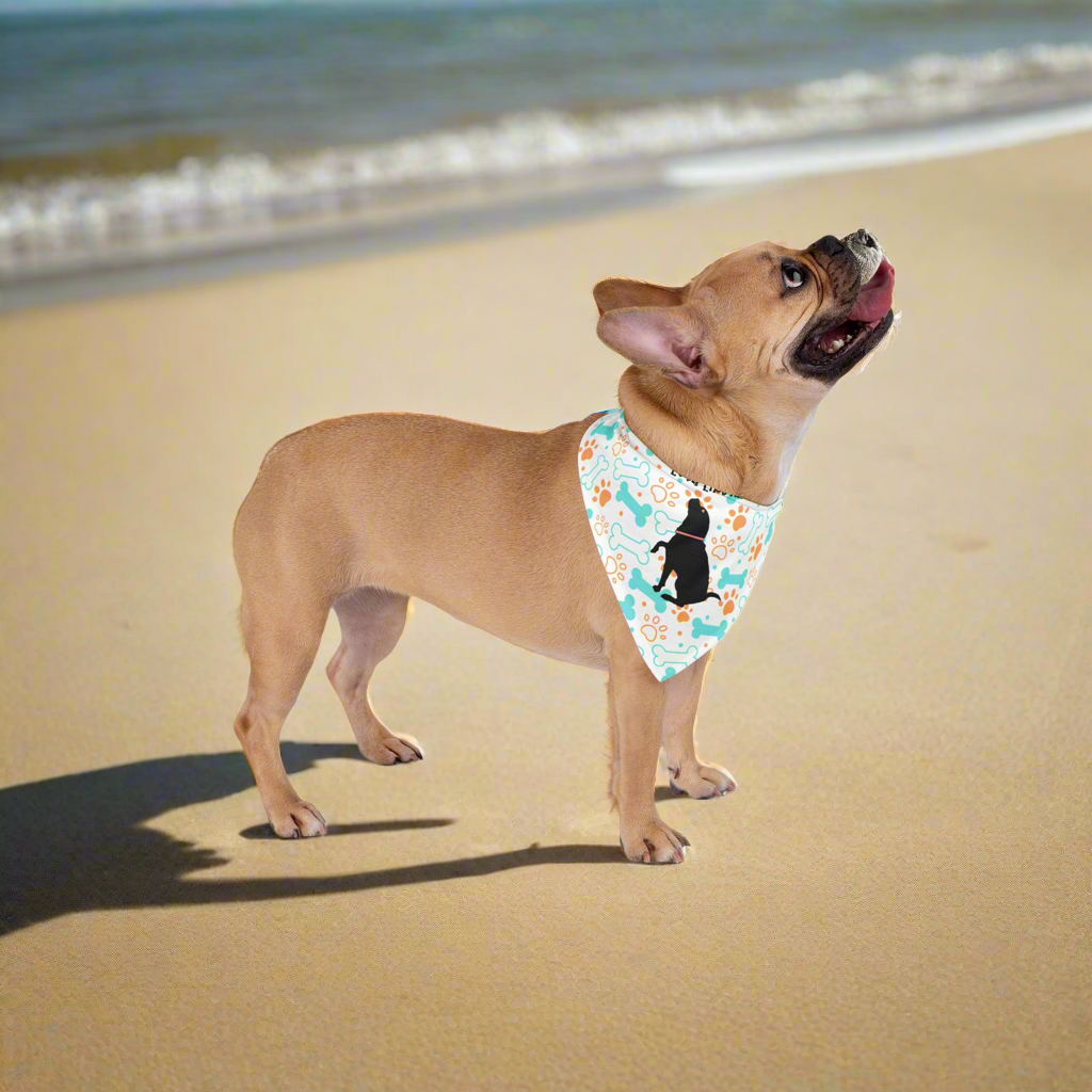 Paws, Bones Pet Bandana